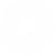 icon-v4