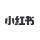 icon-s41
